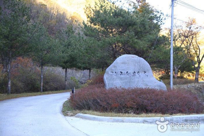 ‘금봉자연휴양림’ 글자가 새겨진 입구 표지석과 진입로